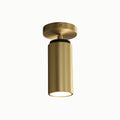 Champeaux Pivoting Flushmount