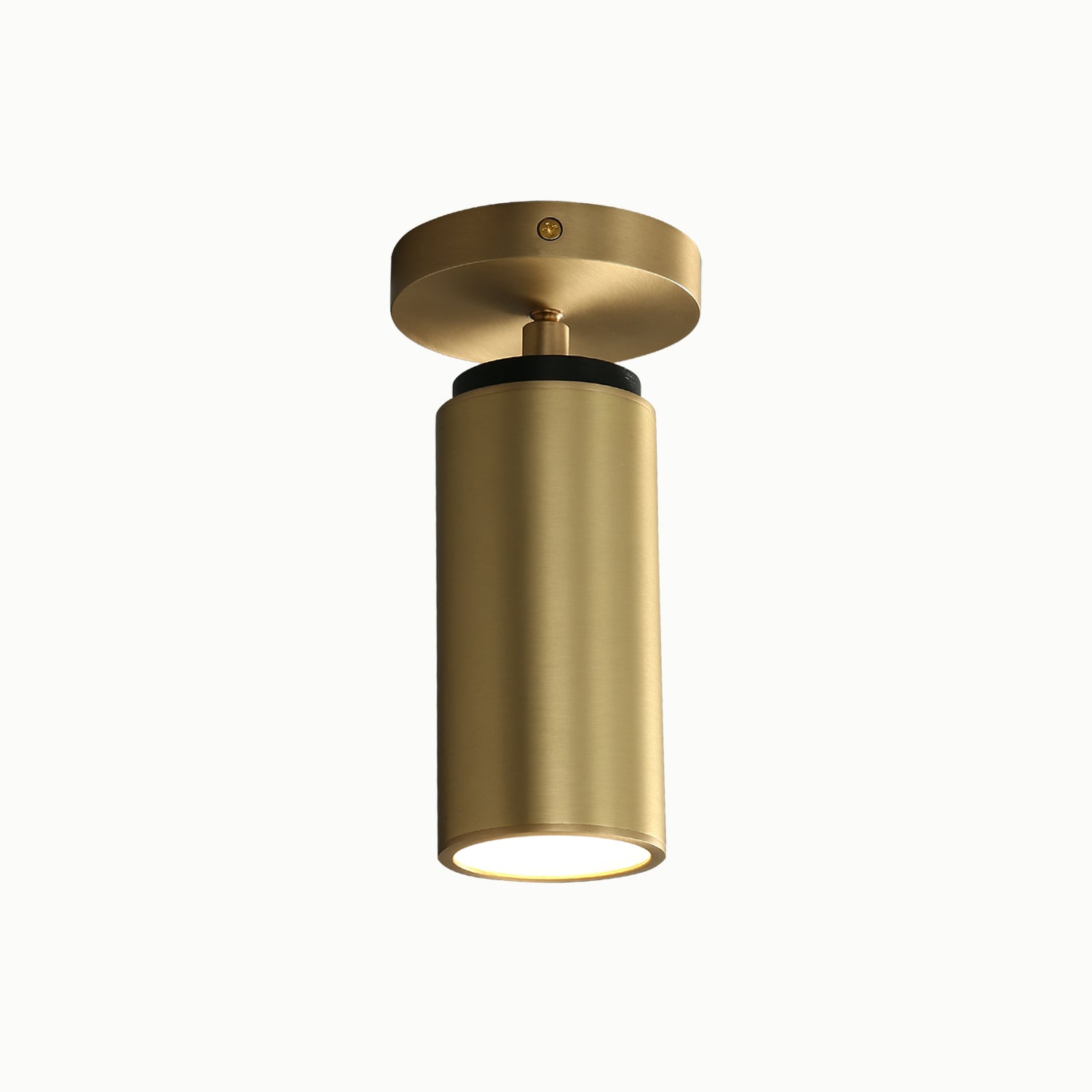 Champeaux Pivoting Flushmount