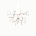 Heracleum III Suspended Chandelier