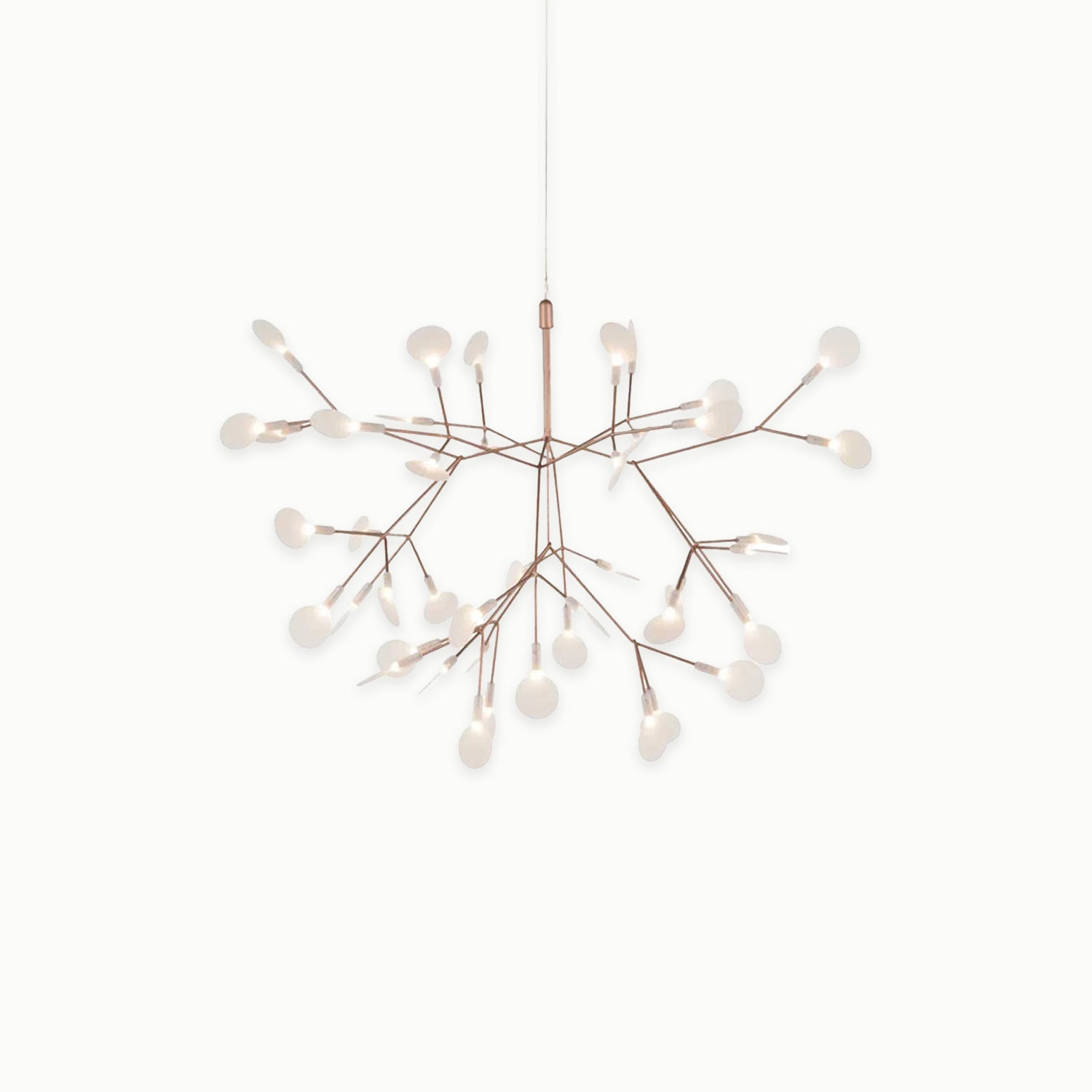 Heracleum III Suspended Chandelier